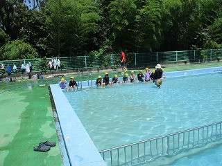 IMG_8886
