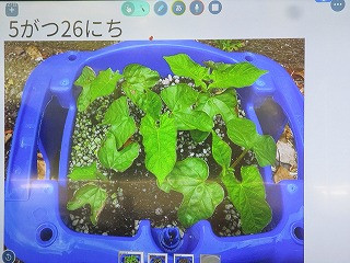IMG_6837