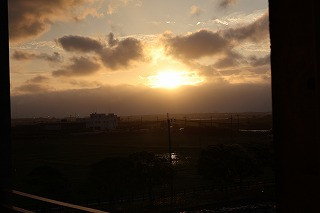 IMG_1626