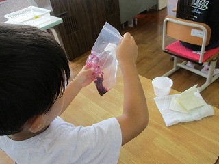 IMG_8184