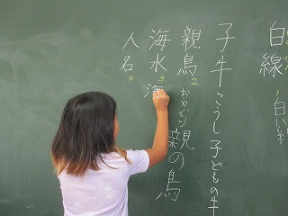 IMG_8562
