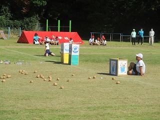 IMG_9536-2